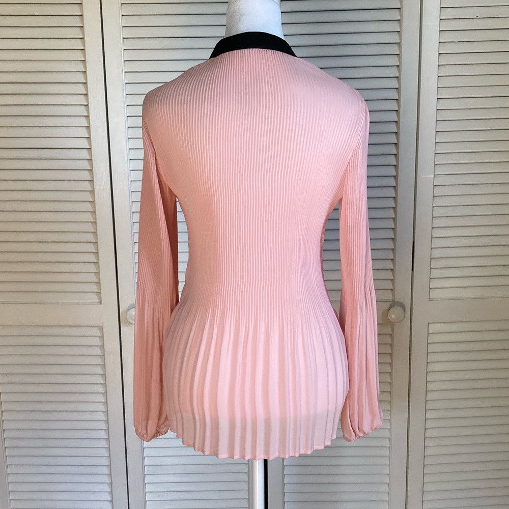 Pleated Sheer Button-Up long sleeved Blouse - Picture 5 of 8
